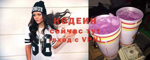 прущие грибы Балахна