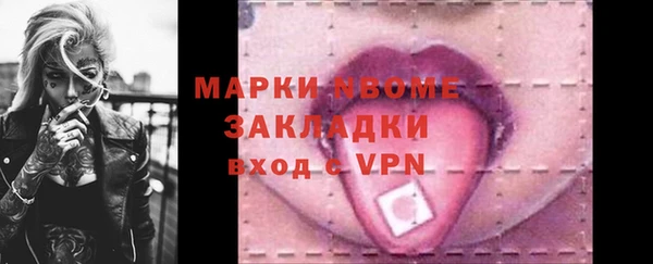 прущие грибы Балахна