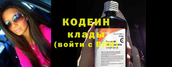 прущие грибы Балахна